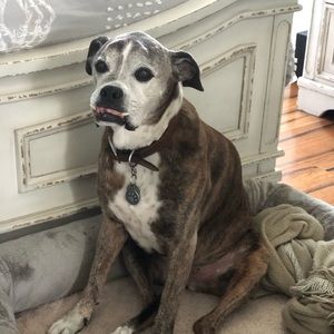 Meet your Posher, Katelyn